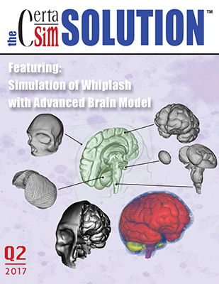 A magazine cover with multiple images of different brains.